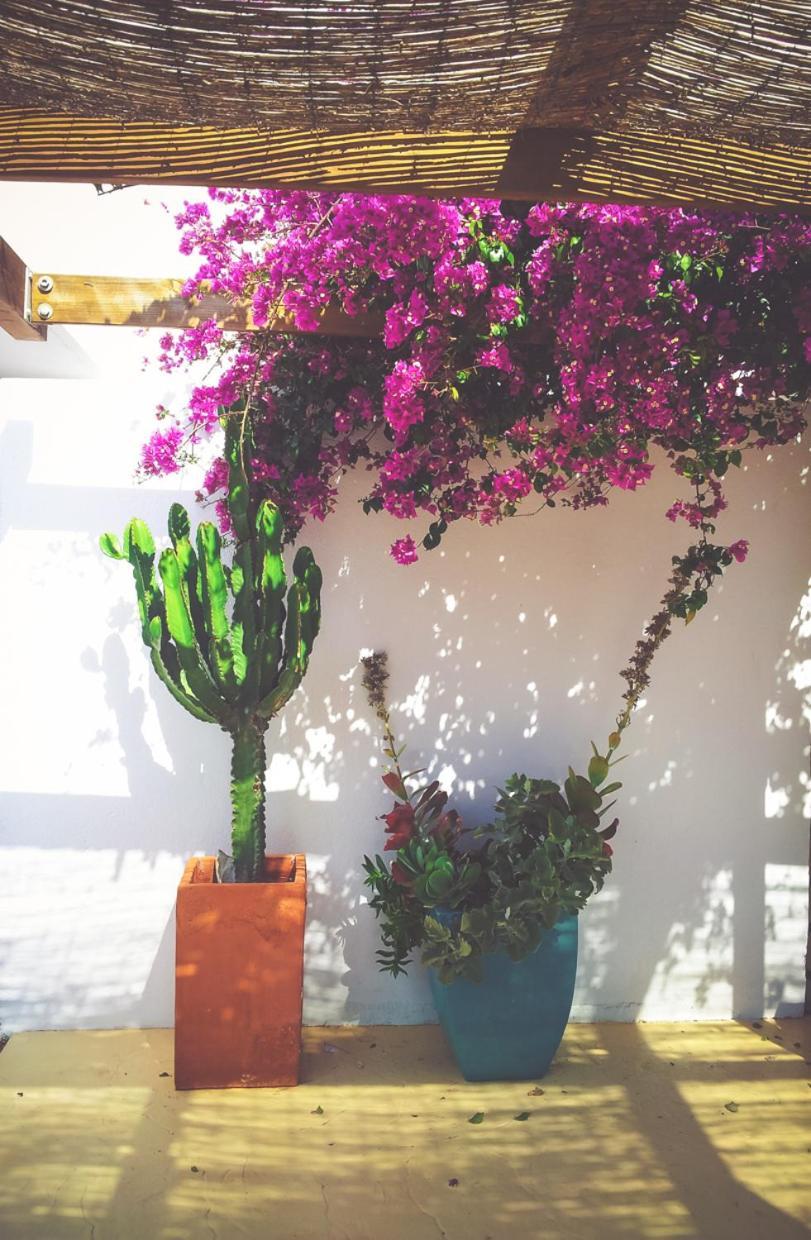 Casa Marlene Villa Rodalquilar Buitenkant foto